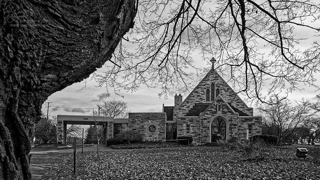 St. John's and the Tree