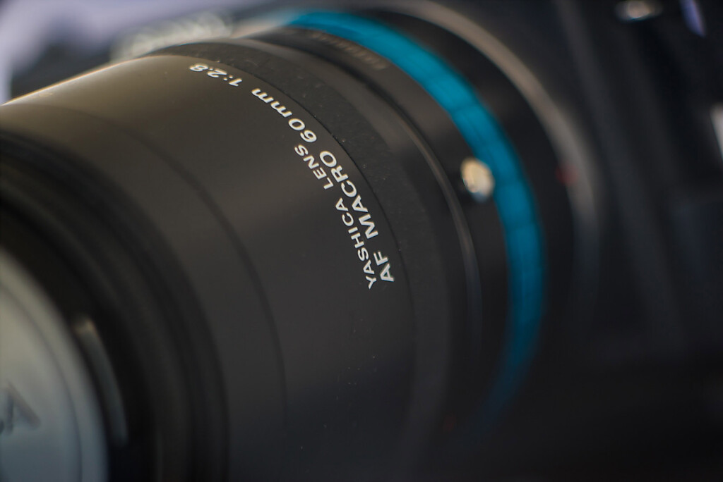 Psuedo Macro - Close Focus - Rollei Heidosmat 150mm f/3.5 Projection lens